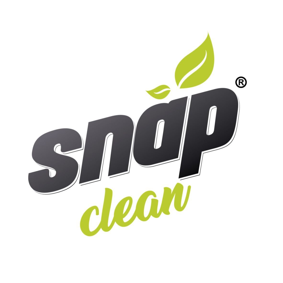 snap clean